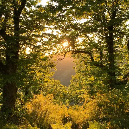 Capo Dezza Alojamento de Turismo Rural