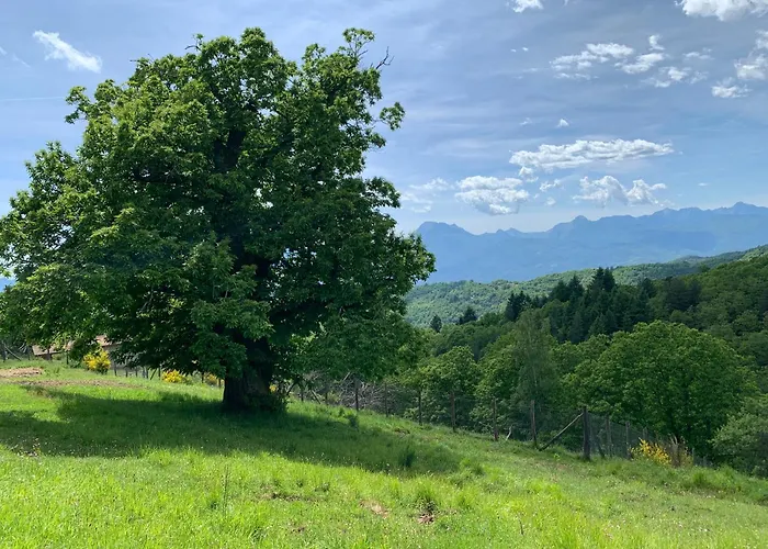 Capo Dezza Farma Coreglia Antelminelli
